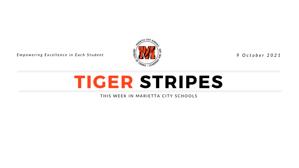 Tiger Stripes Masthead
